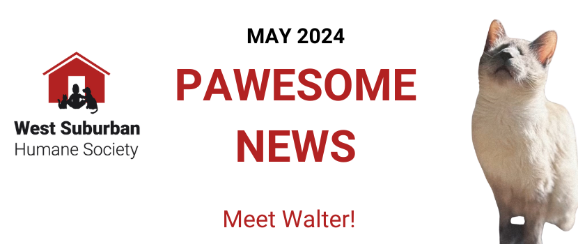 Pawesome News - May 2024