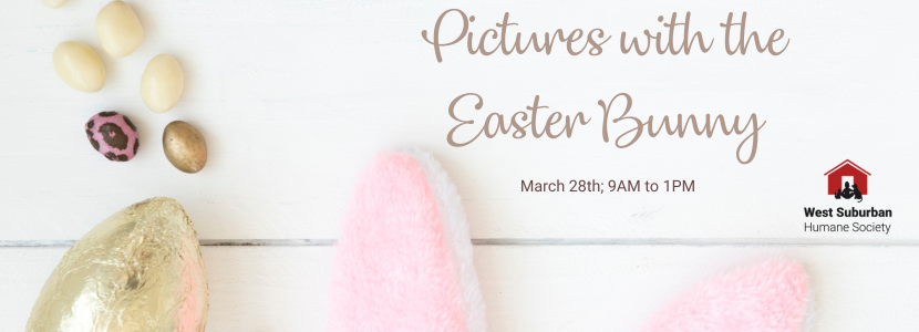 2026 Pics With The Easter Bunny