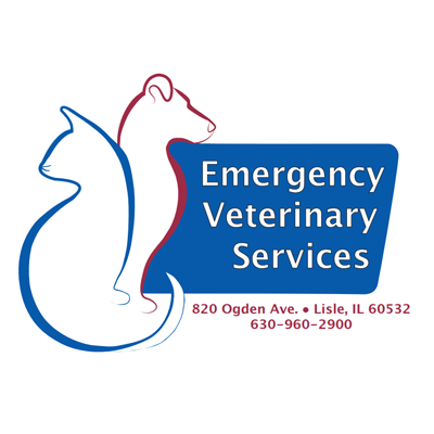 Emergency Vet Services