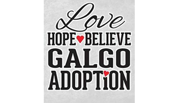 Love, Hope, Believe Galgo Adoption