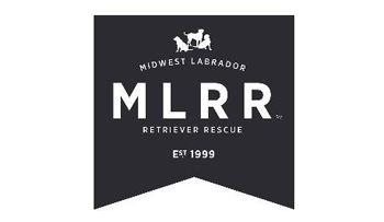 Midwest Labrador Retriever Rescue (MLRR)