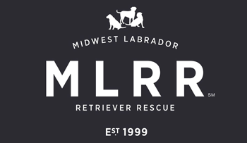 Midwest Labrador Retriever Rescue