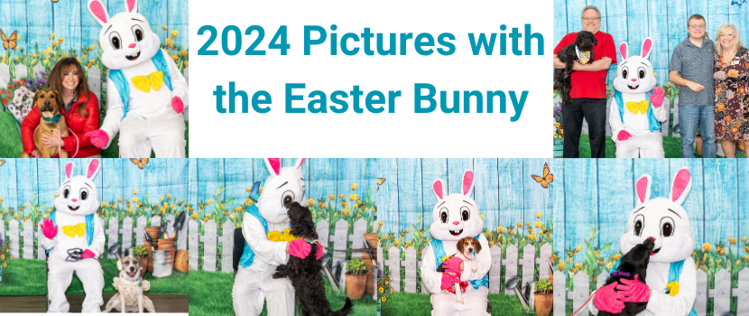 Pictures With the Easter Bunny