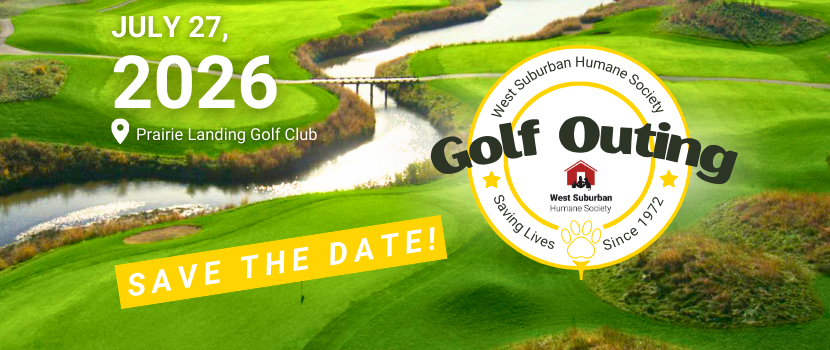 2025 golf banner 830 x 350 px 5