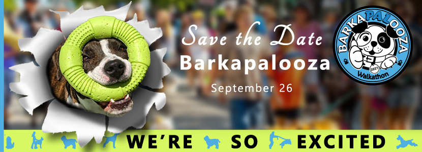Barkapalooza web site event 21
