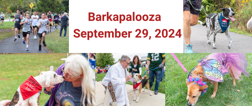 2024 Barkapalooza Photos