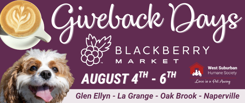 Blackberry Market Giveback Days