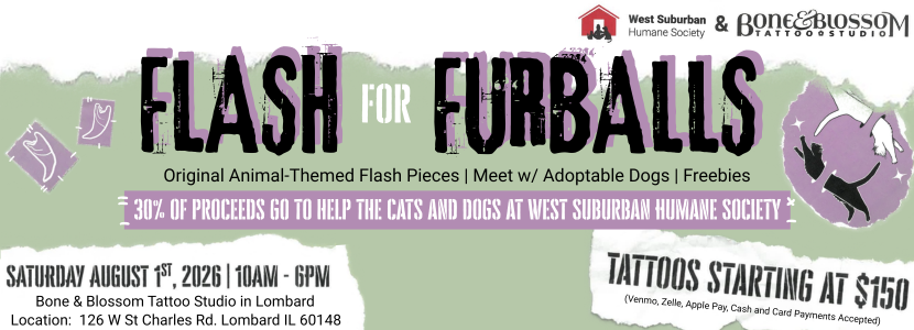 Flash for Furballs