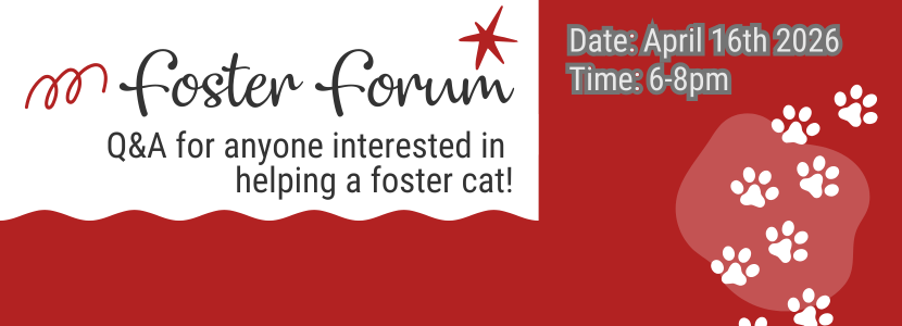 Foster Forum Cats