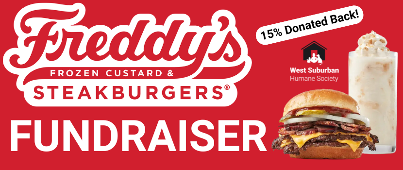 Freddys Fundraiser