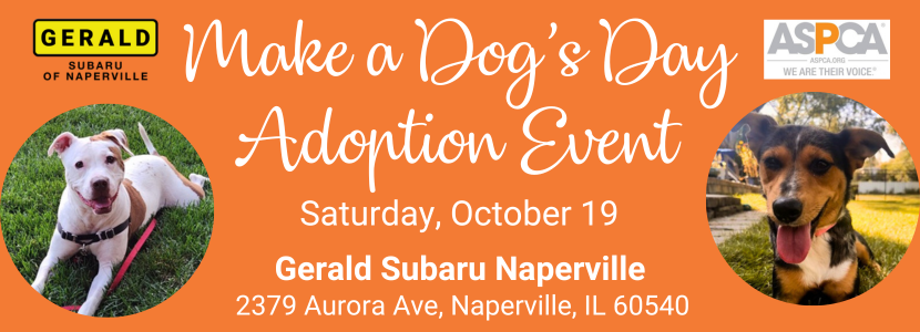 Gerald Subaru Adoption Event 20241