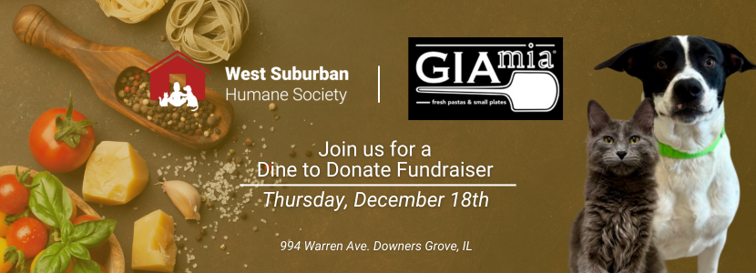 Gia Mia Give Back Day