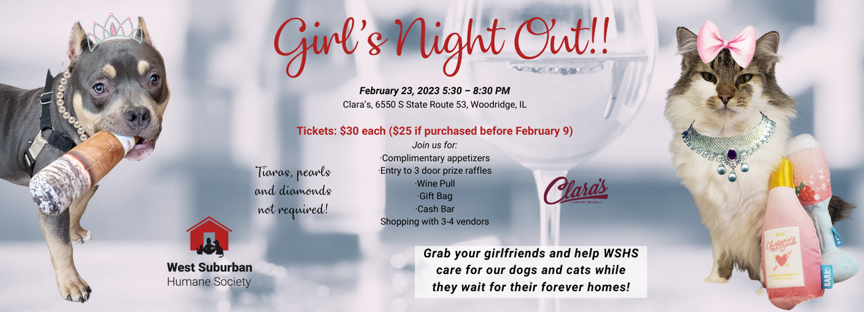Girls Night Out Event Page 830 300 px 1