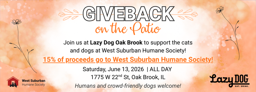 Giveback on the Patio LazyDog EventHeader