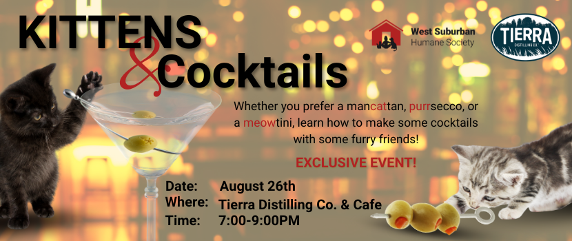 KITTENS Cocktails 1