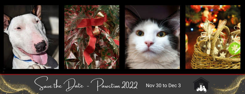 Pawction 2022