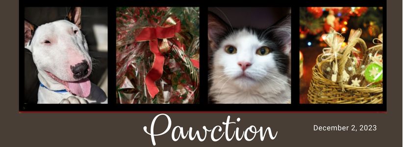 Pawction 002