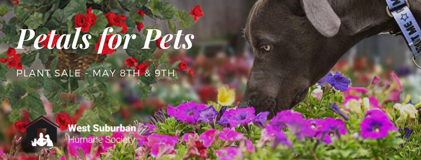 Petals for Pets 2020