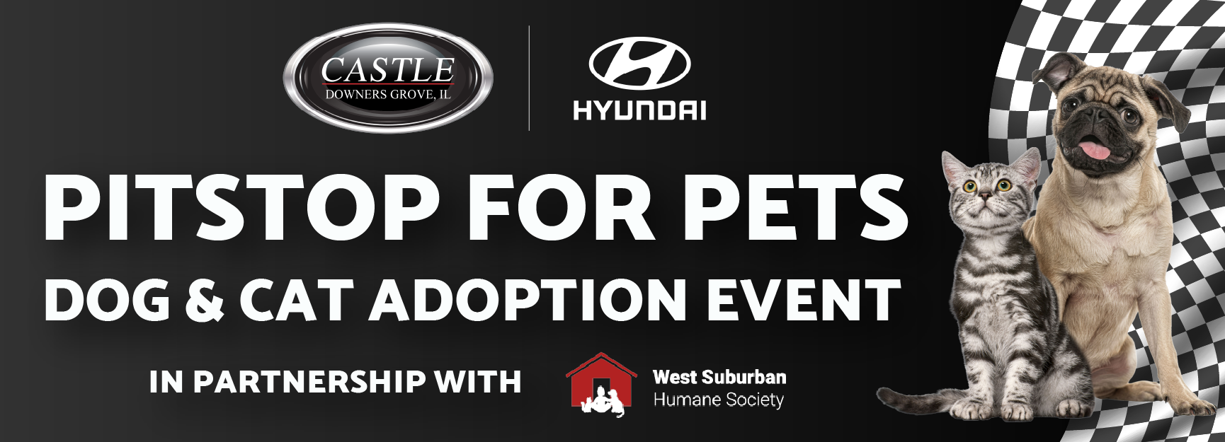 PitStopforPets Hyundai Downers Grove WS Banner