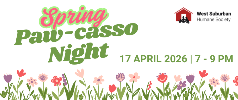 Spring Paw Casso Night