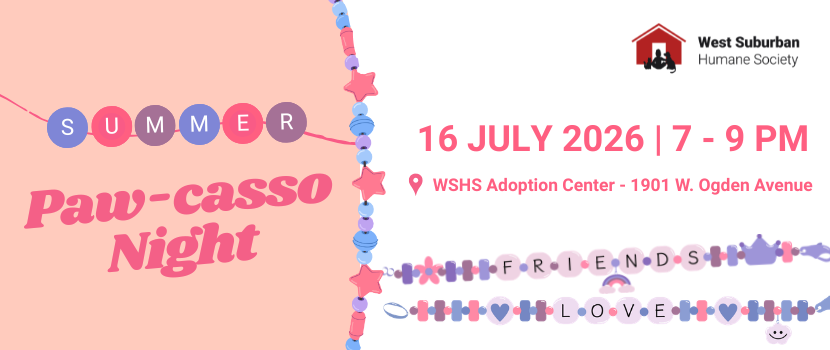 summer pawcasso night