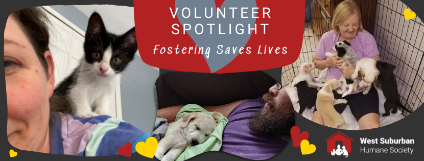 Volunteer Spotlight - Meet Our Amazing Foster Families!