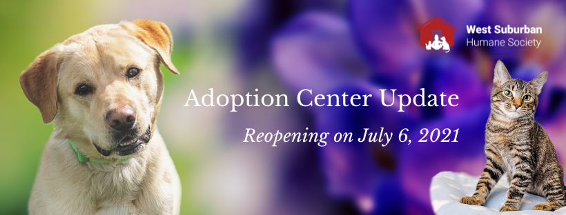 adoption center update 2021