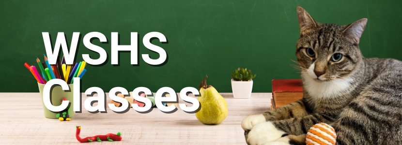 WSHS Classes