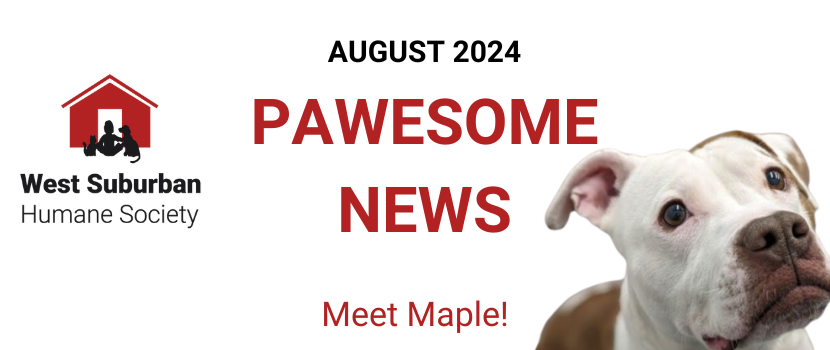 Pawesome News - August 2024