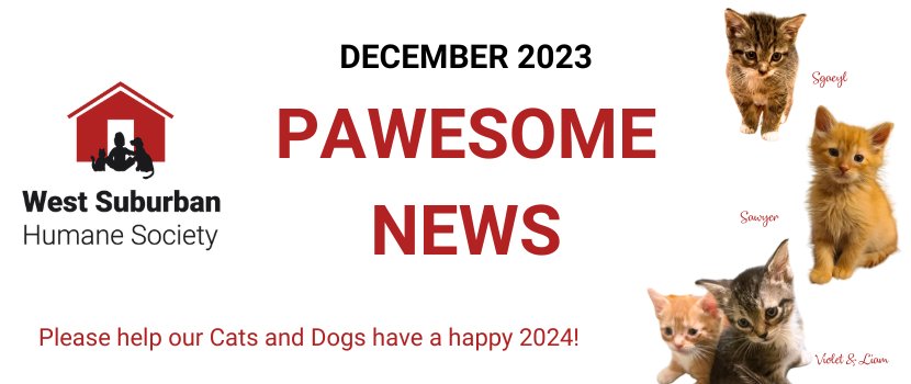 Pawesome News - December 2023