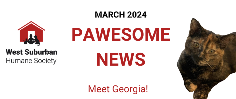 Pawesome News - March