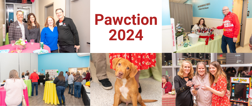 2024 Pawction Photos