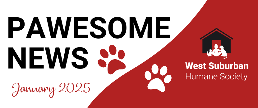 Pawesome News - January 2025