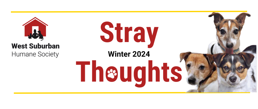 Stray Thoughts Winter 2024