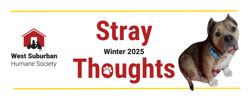 Stray Thoughts Winter 2025