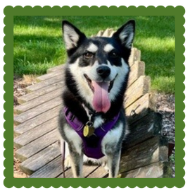 thd luna